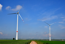 TEE-Beteiligung: Neuer Windpark in Rheinland-Pfalz