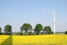 Windpark nahe Berlin